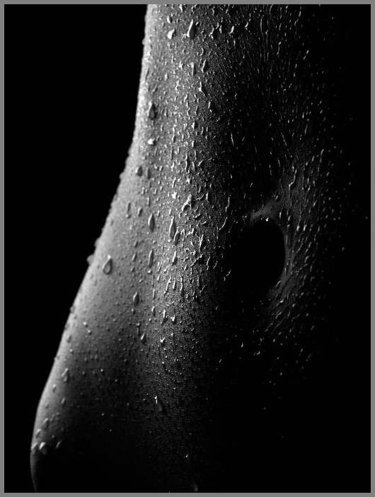 Waclaw Wantuch - пикантные фото высшего качества