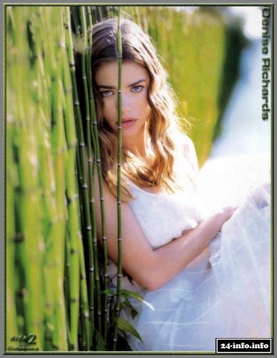 Голая звезда Дениз Ричардс