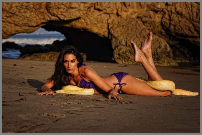 Фотограф под ником houghton