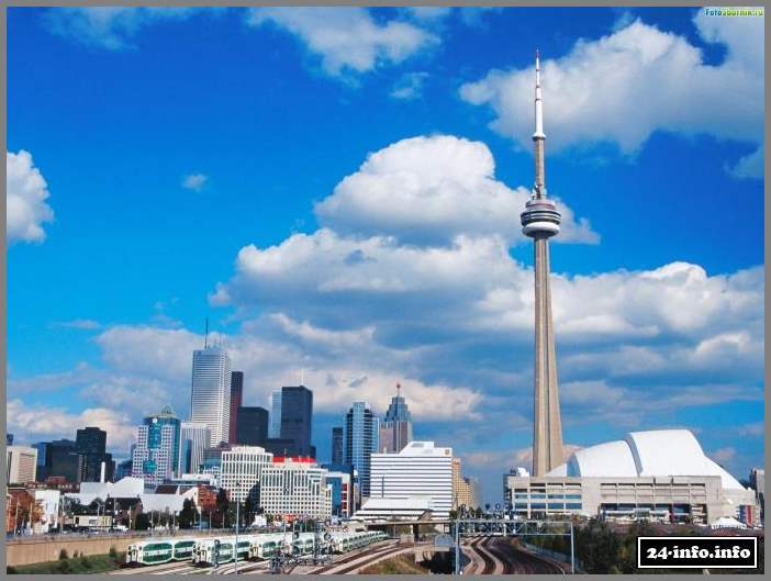 Влюбленная пара сыграла свадьбу на самом высоком небоскребе Канады