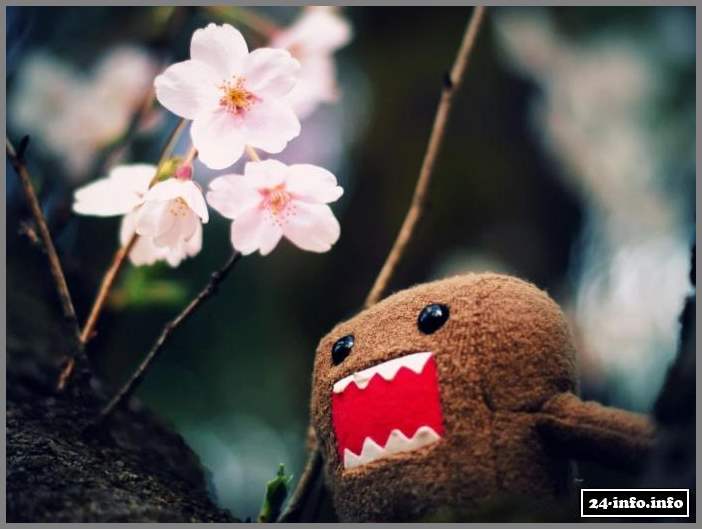 Японский персонаж Domo-Кun