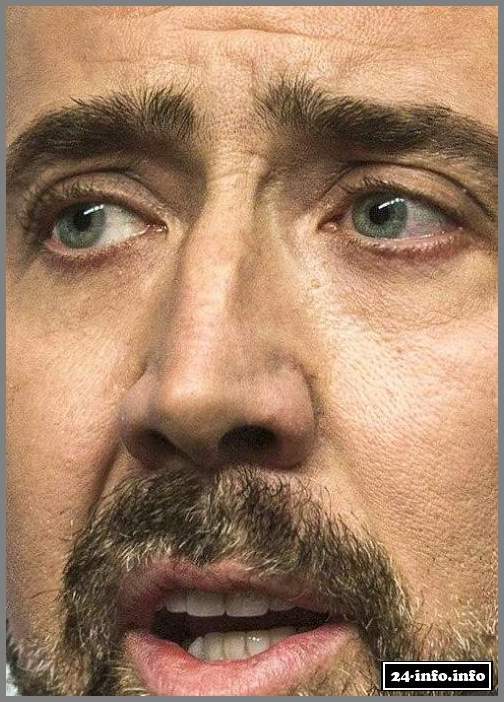 Знаменитости крупным планом (30 фото)