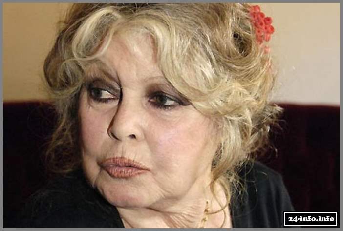 Бриджит Бардо тогда и сейчас (16 фото)