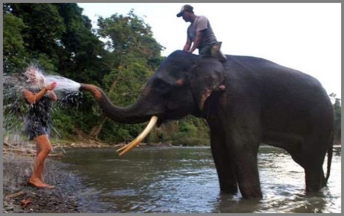 Прикольные картинки. Выпуск 1374