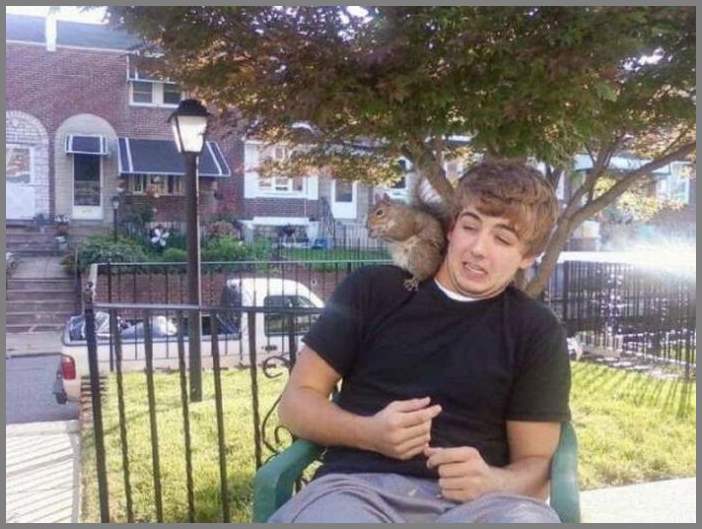 Прикольные картинки. Выпуск 1374