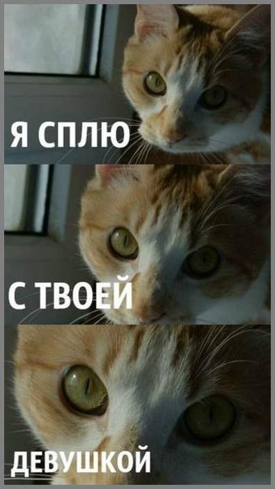 Прикольные картинки. Выпуск 1374