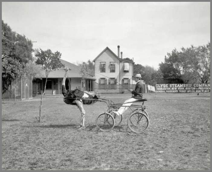 Прикольные картинки. Выпуск 1374