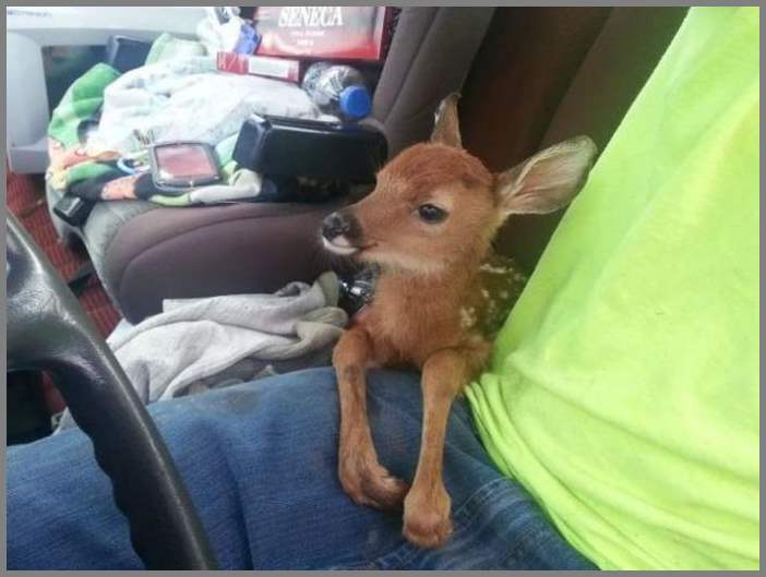 Прикольные картинки. Выпуск 1374