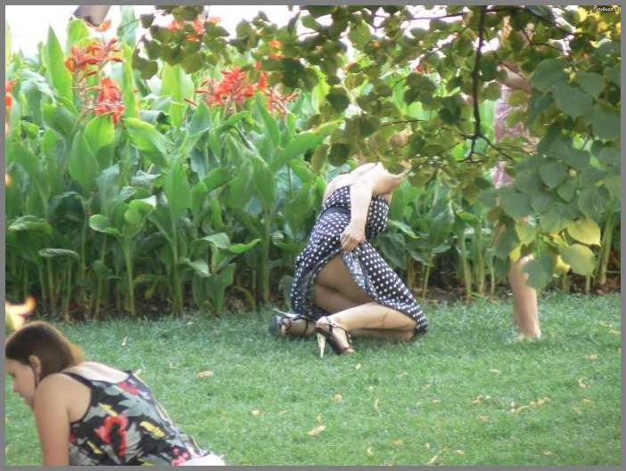 Подсмотренное на природе (трусы, жопы, передки)