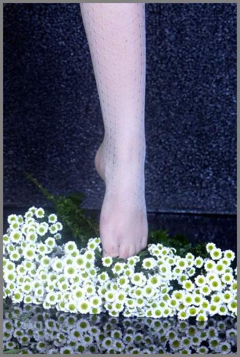 Элегантный фотосет Irina J Lewar