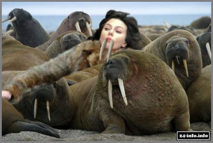 Прикольные фотожабы на Скарлетт Йоханссон