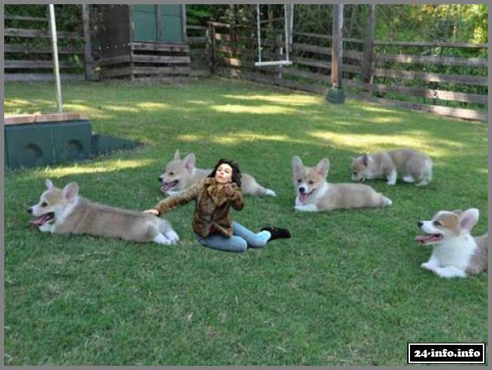 Прикольные фотожабы на Скарлетт Йоханссон