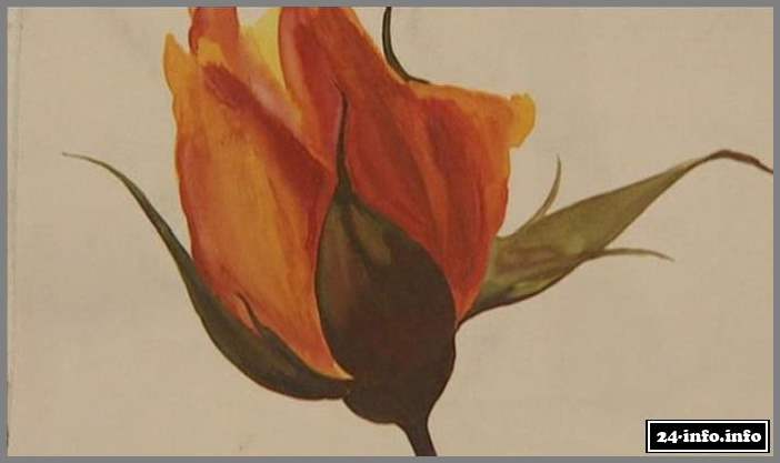 Известные люди, которые решили попробовать свои силы в живописи