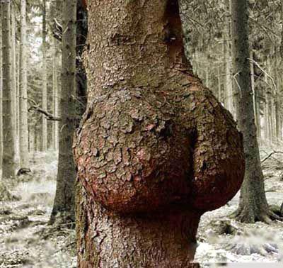 Обнаженный юмор