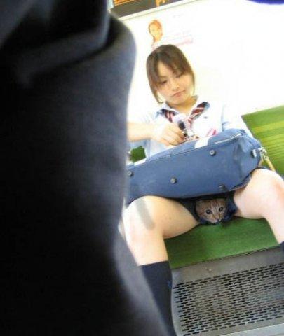 30 см засунула полностью в рот - Эроприколы