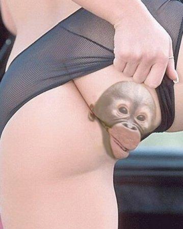 Игрушка в женской письке - Эроприколы