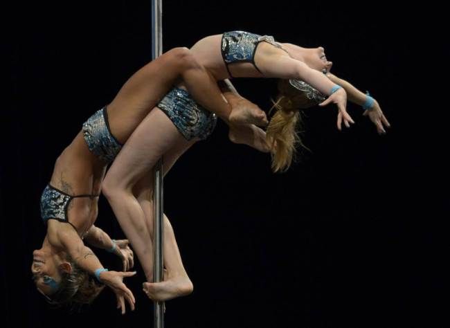 Чемпионат Южной Америки по танцам на шесте 2013 Чемпионат Южной Америки по танцам на шесте 2013