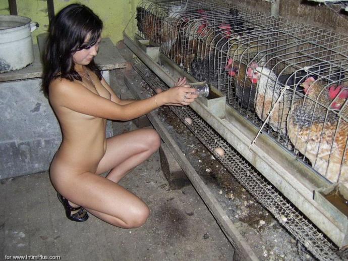 Частные фото горячей девки в курятнике