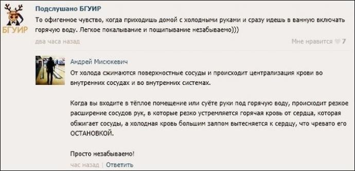 Смешные комментарии из социальных сетей