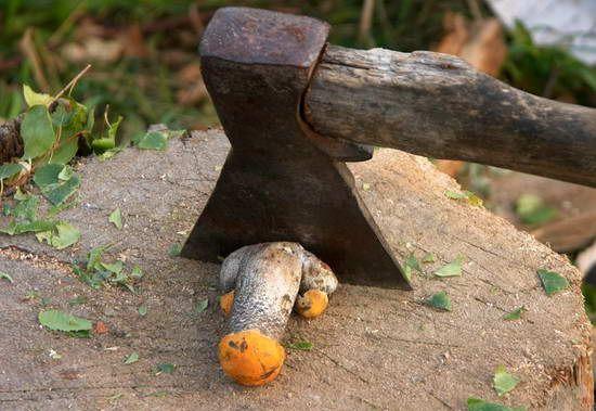 Сперма со всех сторон - Эроприколы