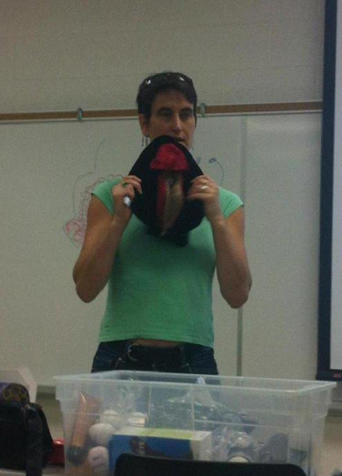 Урок секс просвещения