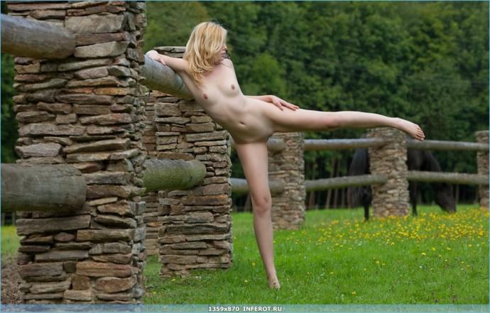 Стриптиз для коней