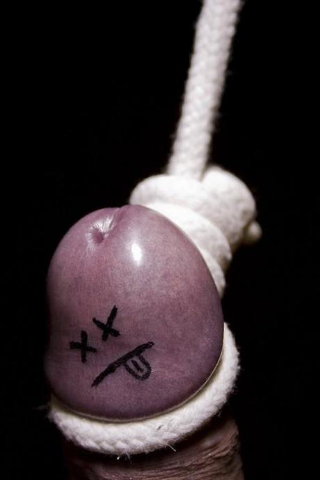 Торт в виде мужского члена - Эроприколы