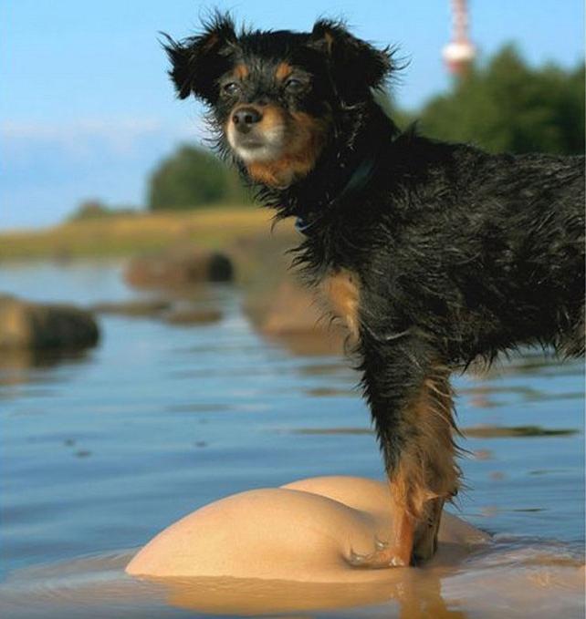 Девчонки пивком не угостите - Эроприколы