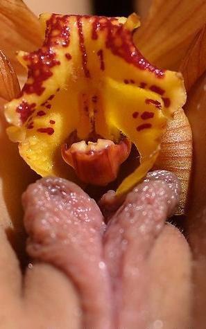 Девчонки пивком не угостите - Эроприколы