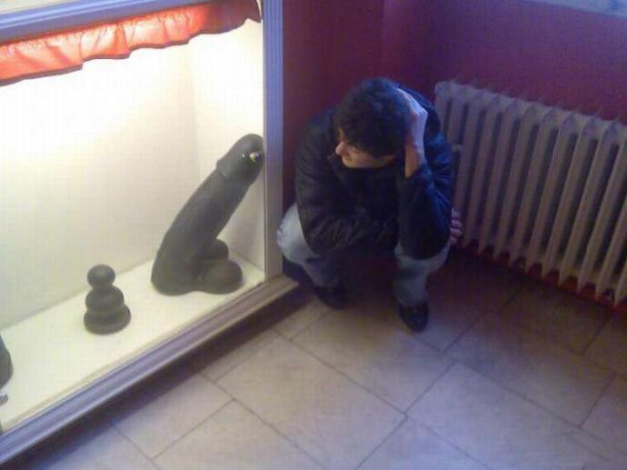 Толстая супер красавица - Эроприколы