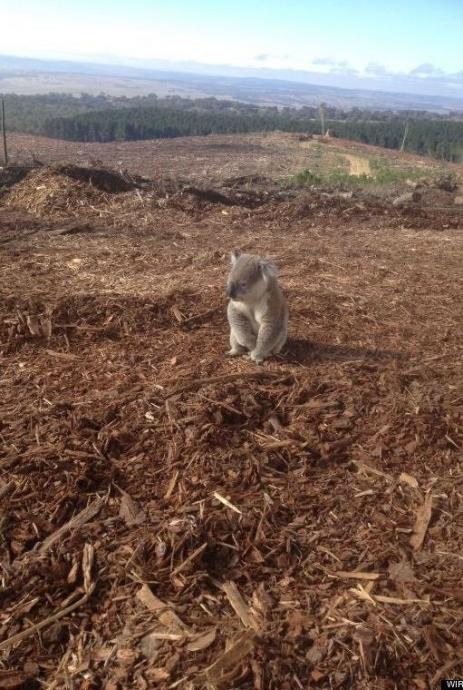 Высокие каблуки. Как вы, женщины, ходите на них? (ассорти) Высокие каблуки. Как вы, женщины, ходите на них? (ассорти)
