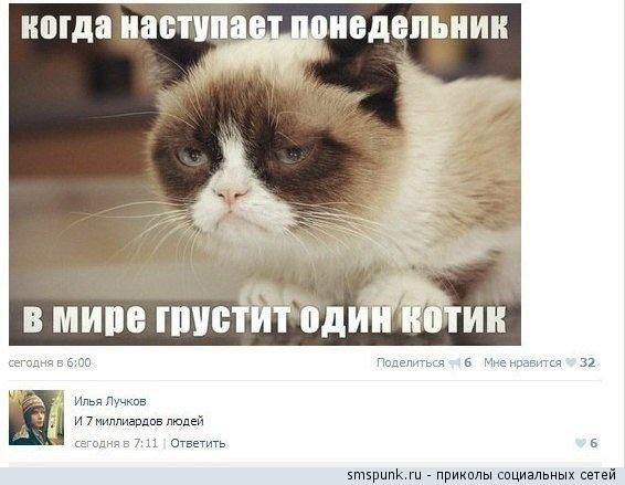 Прикольные комменты из соц. сетей