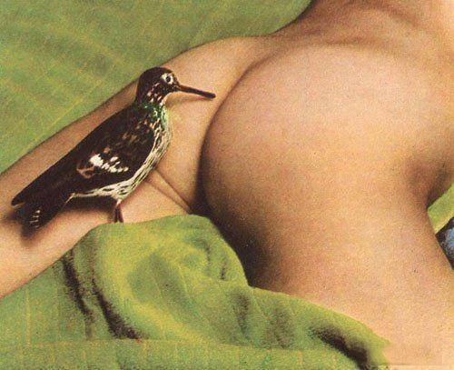 Пернула на одуванчик - Эроприколы