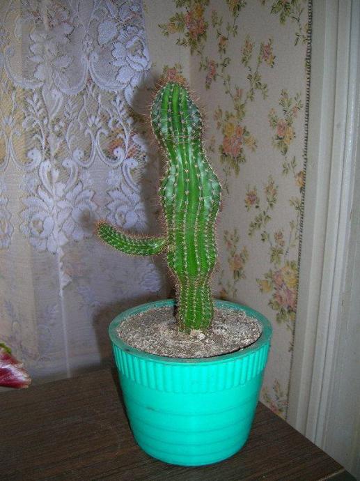 Лопнул силикон в сиське - Эроприколы