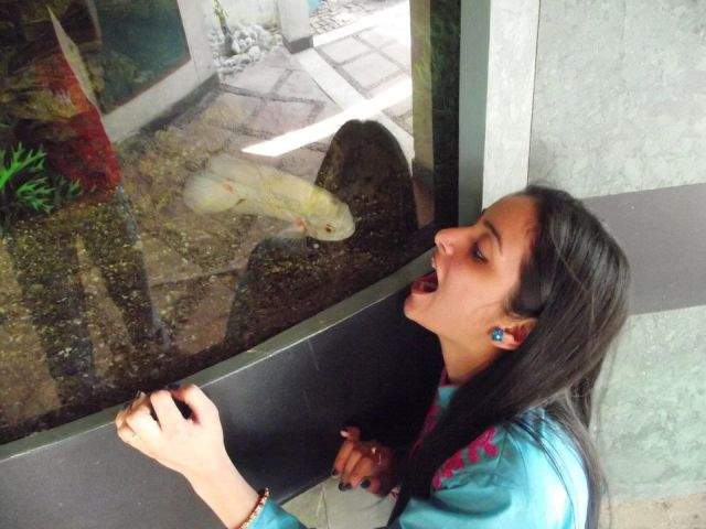 Прикольные картинки для взрослых