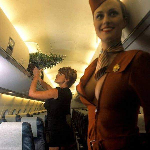 Прикольные картинки для взрослых