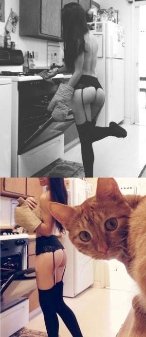 Прикольные картинки для взрослых