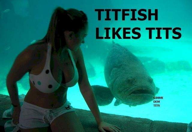 Прикольные картинки для взрослых