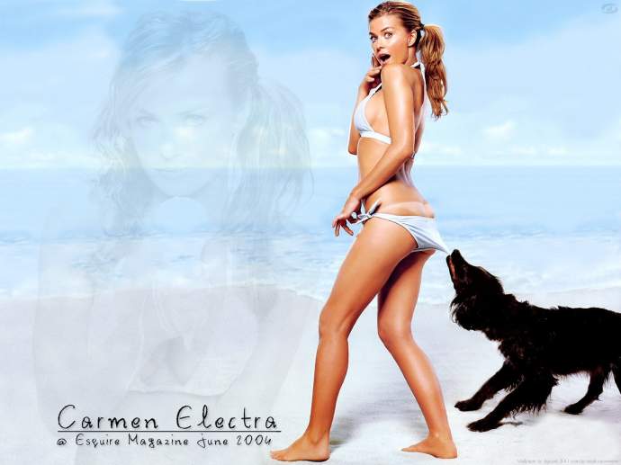 собака, удивление, трусики  - обнаженные фото