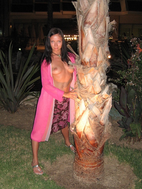 Сам себе режисер