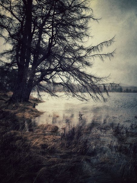 Julian Calverley - Glen Orchy & Glen Etive