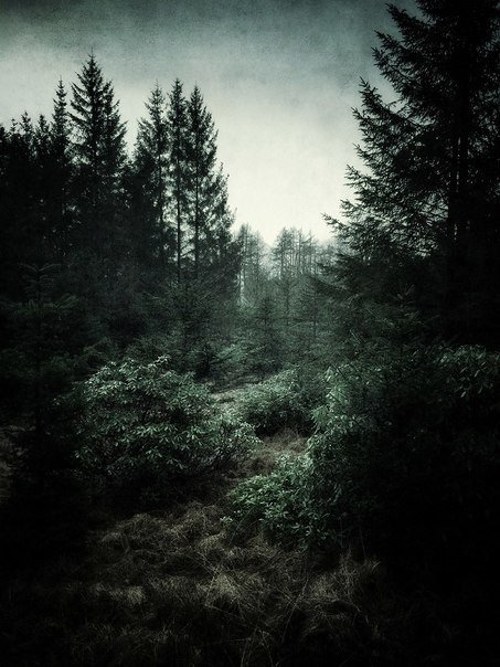 Julian Calverley - Glen Orchy & Glen Etive