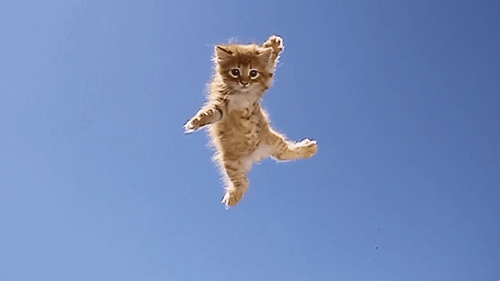 Свежий микс смешных, прикольных и необычных пошлых Свежий микс смешных, прикольных и необычных пошлых