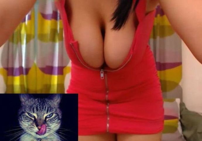 Свежий микс смешных, прикольных и необычных пошлых