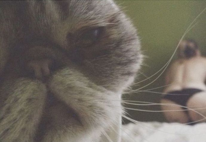 Свежий микс смешных, прикольных и необычных пошлых