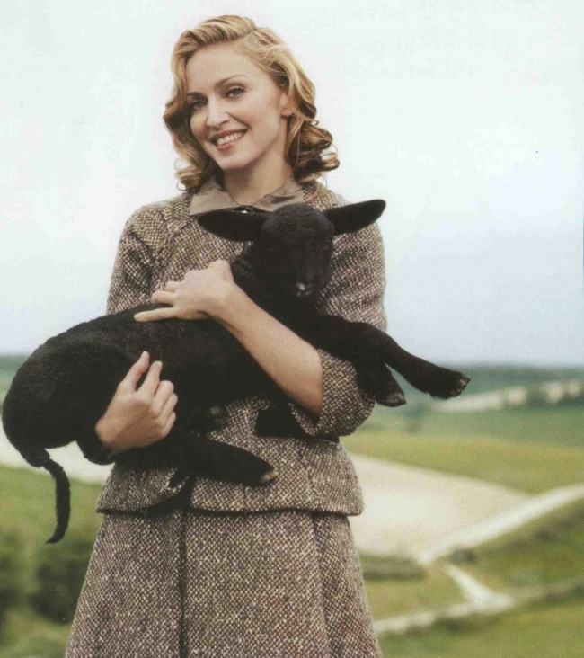 Мадонна — женщина, достойная восхищения Мадонна — женщина, достойная восхищения