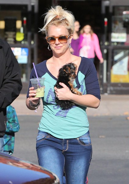 Бритни Спирс обожает своих питомцев!