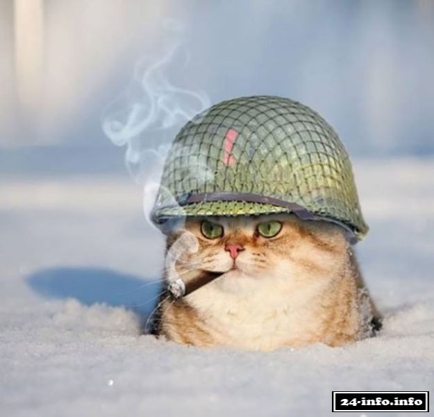 'Мастера' фотошопа из социальных сетей