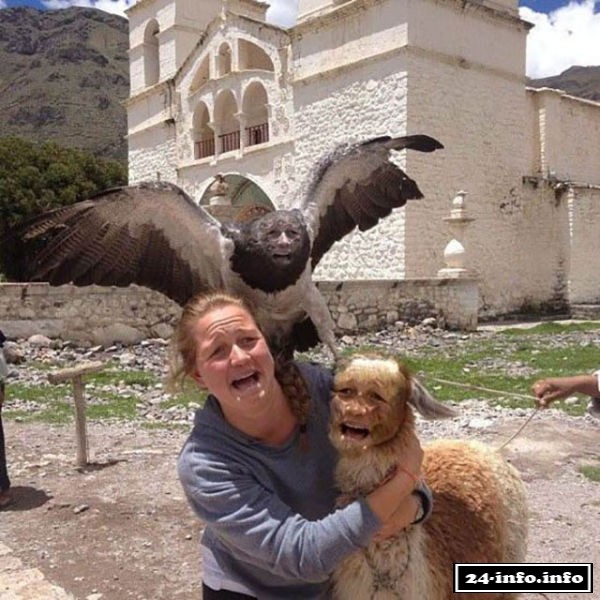 'Мастера' фотошопа из социальных сетей