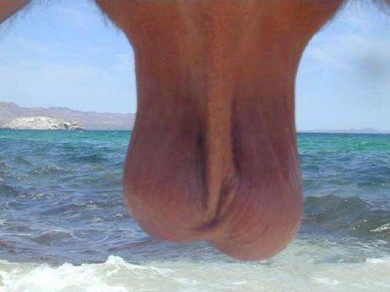 Тема доярок еще не раскрыта - Эроприколы